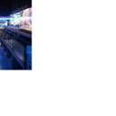 Exotic Tropicals - Pet Stores