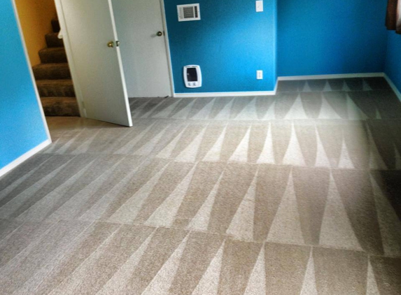 Bellevue LM Carpet Cleaning