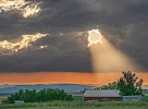 The Health Insurance Guy - Denver, CO