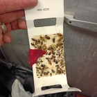 APIS (Advanced Pest Inspections & Services)