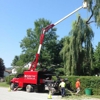 DeNisi Tree Service gallery