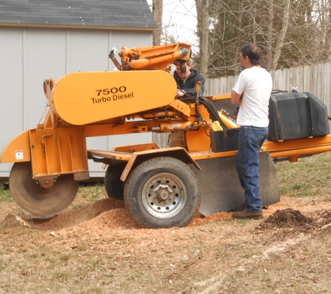 Ace's Tree Service Inc. - Fredericksburg, VA