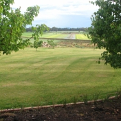 Gallery Image Number 5