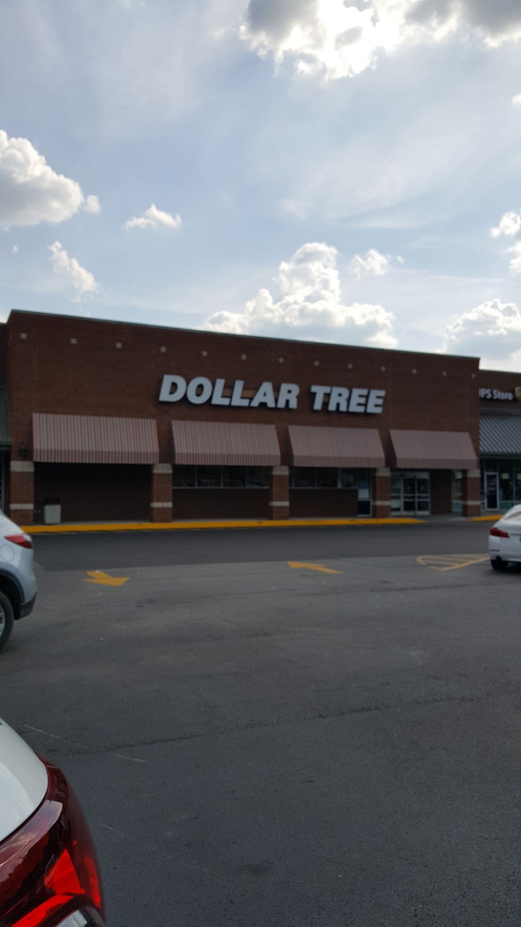 DOLLAR TREE - Discount Store in Gadsden