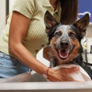 Unleashed by Petco - Pet Services