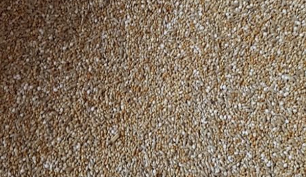 Boylans Garden & Pet Supplies - Bundaberg Central, QLD