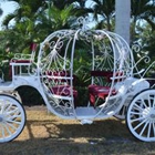 Dream Carriages by EKD LLC