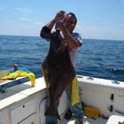 Adventure and Catch Charters