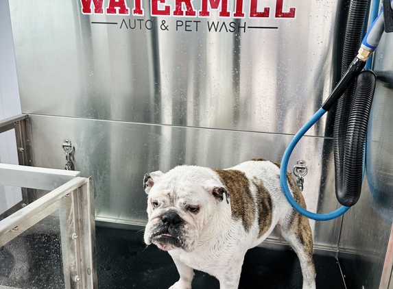 Watermill Auto & Pet Wash - Louisville, CO