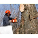 Steve's Tree Service - Crane Service