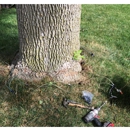 West Michigan Tree Services - Arborists