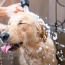 Trixie's Gulfside Grooming - Pet Grooming
