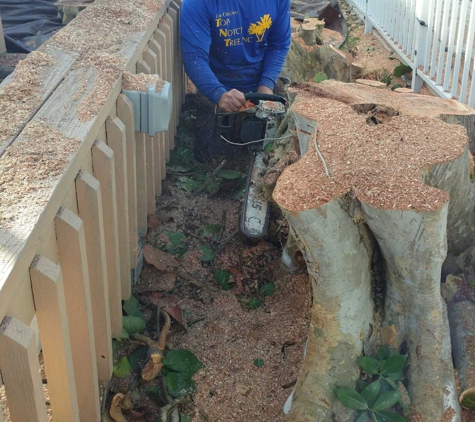 Top Notch Tree Services Inc. - Pompano Beach, FL