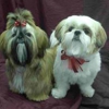Top Knot pet Fluff -n- Buff gallery