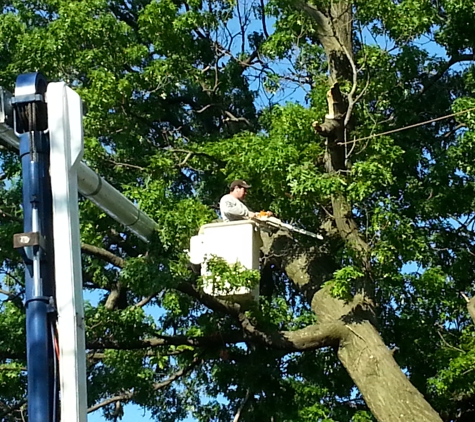 J.R.'s Tree Service - Rosedale, NY