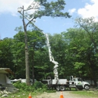 Beeghly Tree Service