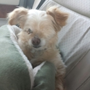 Nashville Pet Products Center - Pet Stores