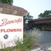 Spring Flowers gallery