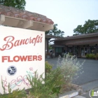 Spring Flowers