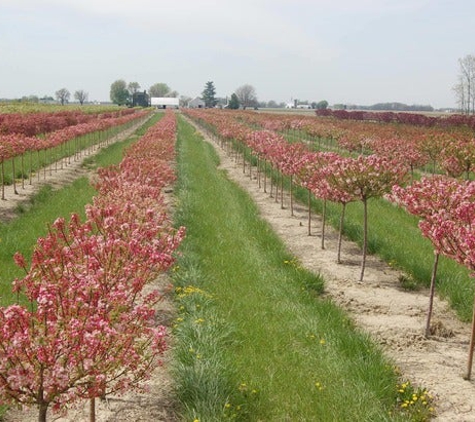 A. Brown & Sons Nursery Inc. - Brookville, OH