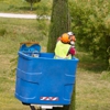 Advanced Tree & Stump Removal gallery