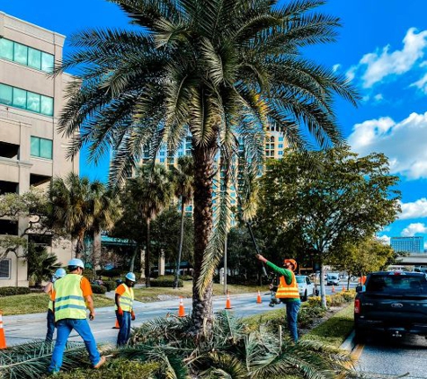 Mid-Florida Tree Service, Inc. - Thonotosassa, FL