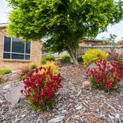 Gallery Image Number 5