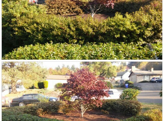 Danshap Landscaping - Vancouver, WA