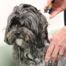 Astro Dog Grooming - Dog & Cat Grooming & Supplies