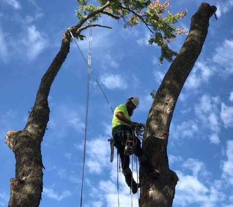 Hansen's Tree Service & Landscaping - Rossford, OH