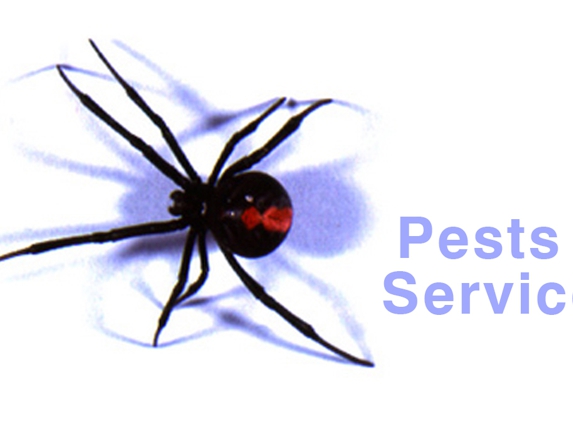 Brunswick Byron Pest Control - Mullumbimby, NSW. Pests & Services