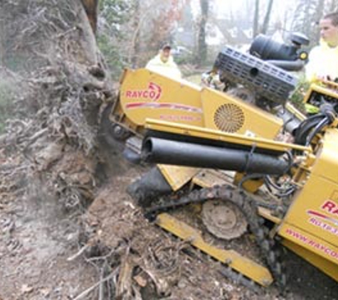 Frank's Tree Service and Stump Grinding - Doylestown, PA
