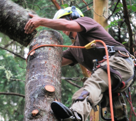 Bigfoot Tree Service - gig harbor, WA