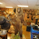 Superior Taxidermy - Taxidermists