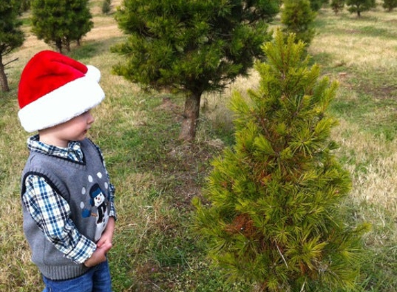 Jordan Lake Christmas Tree Farm - Apex, NC