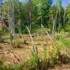 Harlem Valley Rail Trail Association gallery