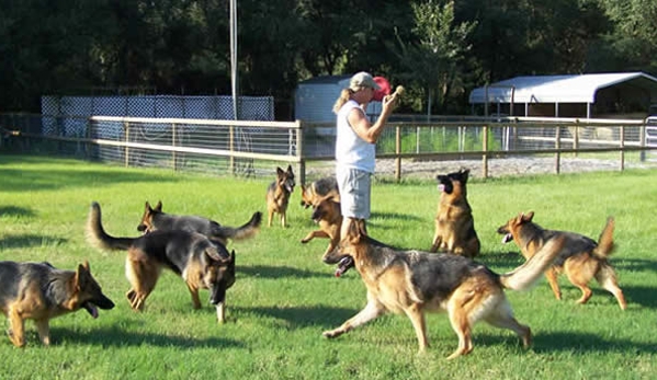 ICNDF Dog Training Center - Saint Augustine, FL