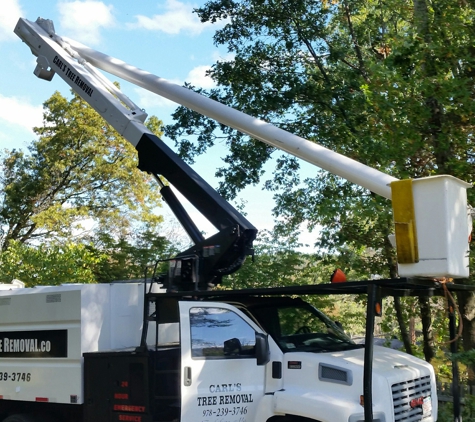 Carls Tree Removal Service - North Billerica, MA