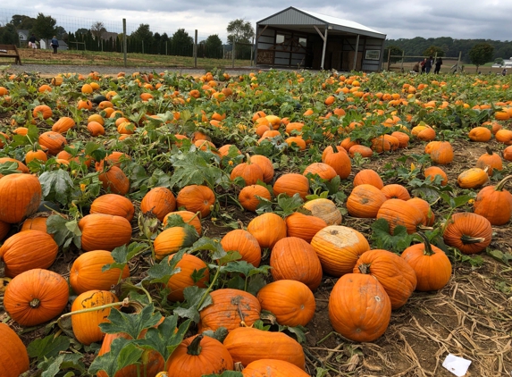 Grims Greenhouse & Farm Market Inc - Breinigsville, PA