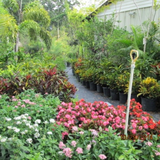 Kathy's Korner Nursery Inc - Saint Petersburg, FL