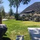 Tioga Gas Mart & Whoa Nellie Deli - Gas Stations