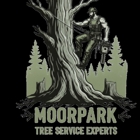 Moorpark Tree Service Experts