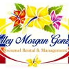 Cozumel Home Rental & Management gallery