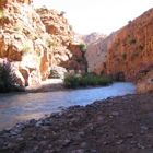 Majestic Moroccan Expeditions