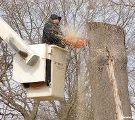 Daves Tree Service of Michigan Inc. - Traverse City, MI