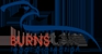 Burns Law - Business Law