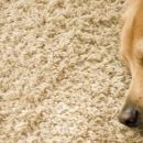 Gemini 24hr Carpet Cleaning & Upholstery - Upholsterers