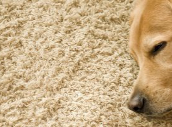 Gemini 24hr Carpet Cleaning & Upholstery - Wadsworth, OH