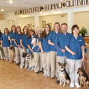 All Creatures Animal Clinic LTD - Veterinary Clinics & Hospitals