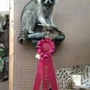 Obsession's Taxidermy - Taxidermists
